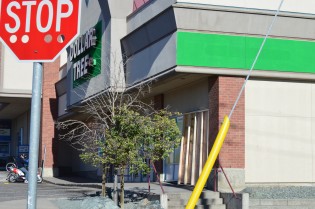 BOARDED DOLLAR TREE 010