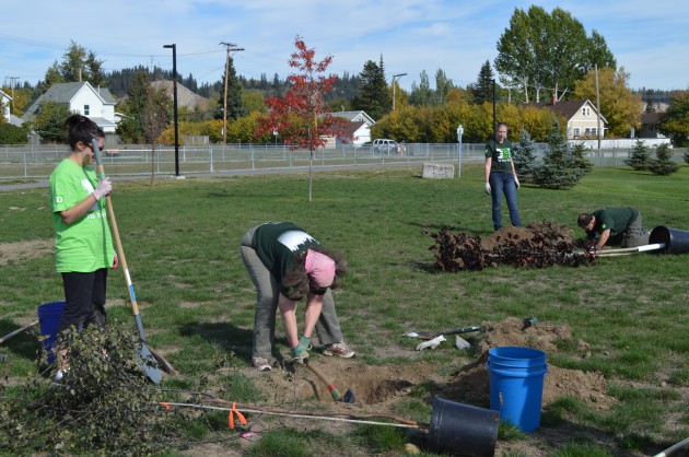 Twenty-two new trees were planted Sunday at Duchess Park. Photos - 250 News