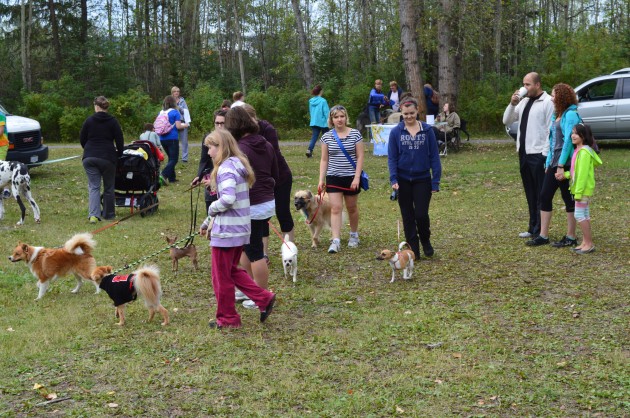 Dogs and masters of all shapes and sizes joined Paws for a Cause. Photos 250 News