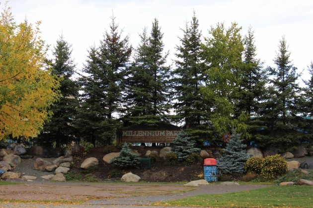 Park to undergo major redesign