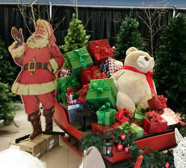 20141119_093016-1-630x569