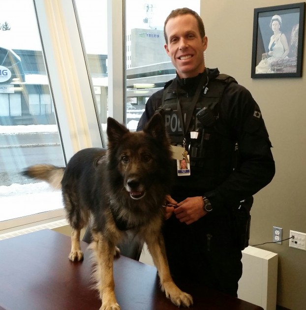 Constable Josh Grafton & police dog Azar - photo 250News