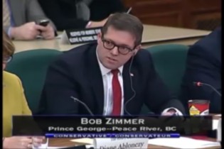 Bob Zimmer