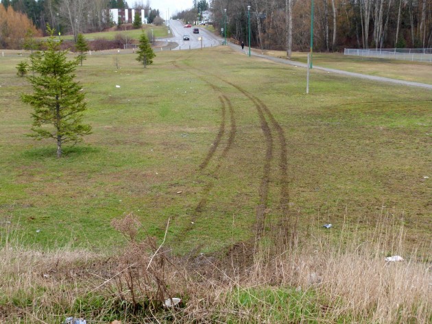 Tire marks show path of vehicle after it left Upland Street. Photos 250 News