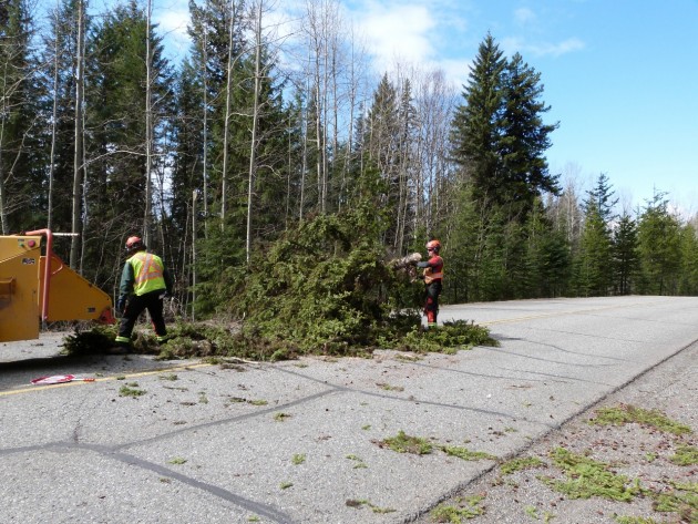 Crew clears tree from North Nechako Road