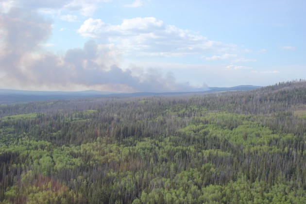 The Pelican Lake fire - photo courtesy Wildfire Management Branch