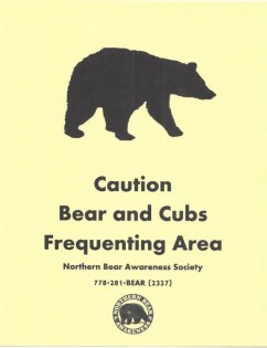 caution cubs 2