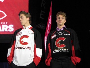 cougars jerseys