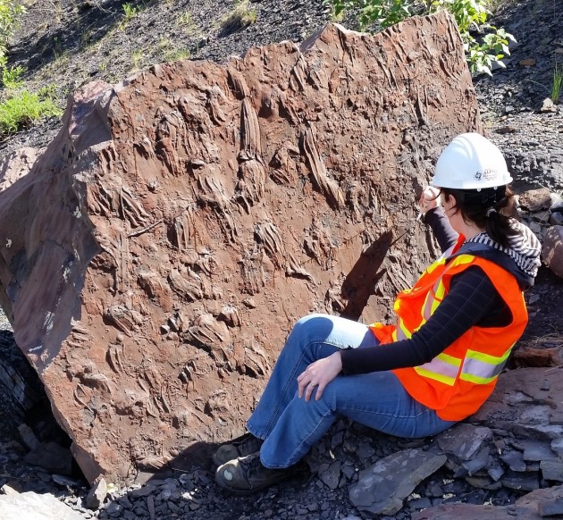 crocodilian 1 by Richard McCrea