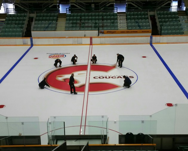 CN Centre staff installing the new Prince George Cougars logo Wednesday afternoon - photo 250 News