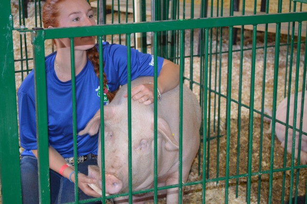 4-H member and friend