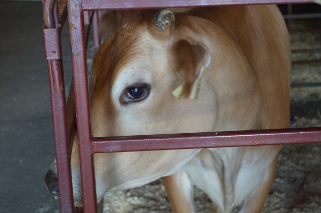 I've got my eye on you