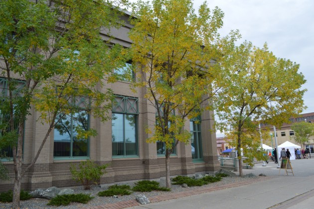 Trees outside Prince George courthouse indicate a seasonal change on the way