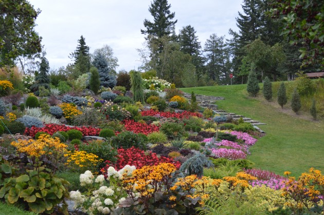 Looks to be plenty of life in the flower beds atop Connaught Hill. Photos 250 News