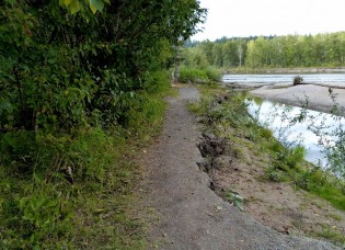 cottonwoodislandnew4