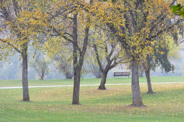 Downpour forces outdoor concert to move. Photo 250 News