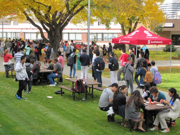 International students grace lawn of City Hall photo 250news