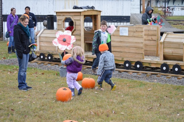 Look Ma, we've got a pumpkin!