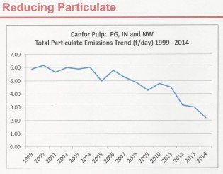particulate