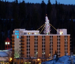 tree-of-lights-630x538