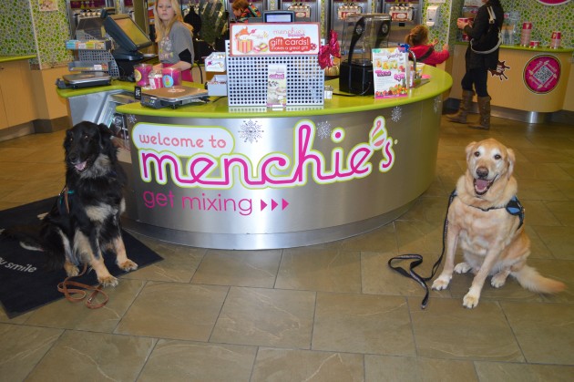 Crisis Response and Therapy Dogs Grimmus (left) and Max at Menchies on Saturday. (photo 250 News)