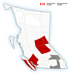 freezing rainwarning