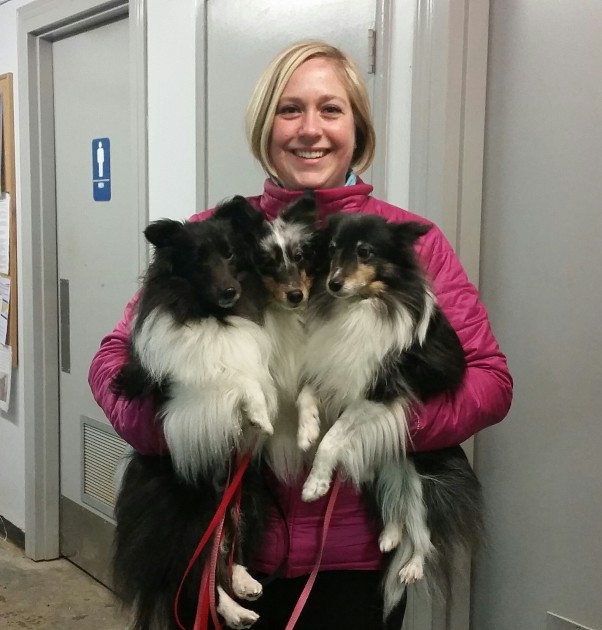 Tracey Dery with her three Shelties