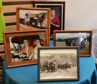 A love of horses has kept Jim Nue busy during his retirement