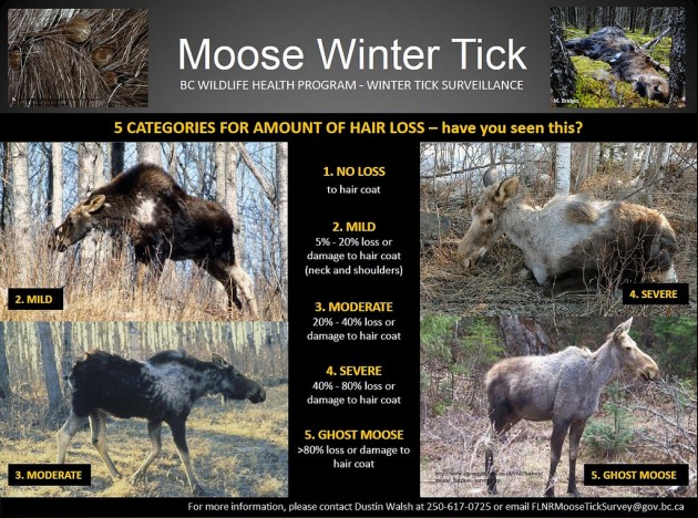 poster courtesy BCGov