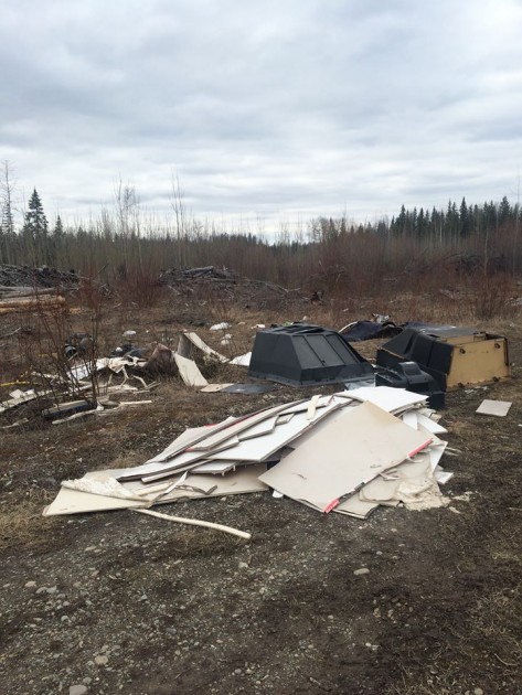 Photos courtesy Spruce City Wildlife Association