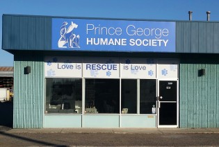 The PG Humane Society is located at 1839 First Avenue