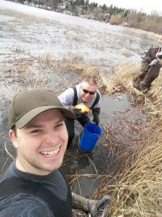 Phil Megysi & Trelane Hargreaves (foreground) help remove fish from Dragon Lake - photos courtesy Baker Creek Enhancement Society