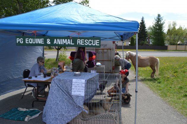 Some displays were also set up outdoors, for obvious reasons