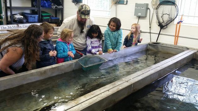 Preschool students from the Cornerstone Learning Centre check out the Rainbow Trout - photo 250News