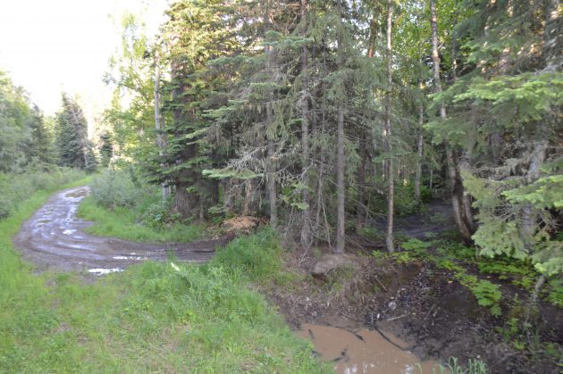 There are innumerable trails in the Hart, many accessible only by foot or ATV