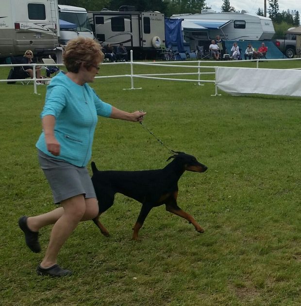 20160723_154343-1-1-1