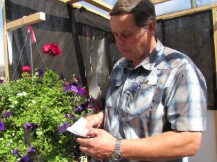 Jos Van Hage releases a butterfly in the Butterfly House