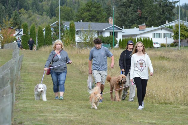 Some of the two and four-legged participants in Sunday's walk at Moore's Meadow. Photos 250News