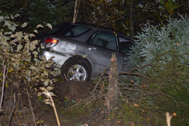 Car sits in bushes after skidding out of control off Ospika and down embankment