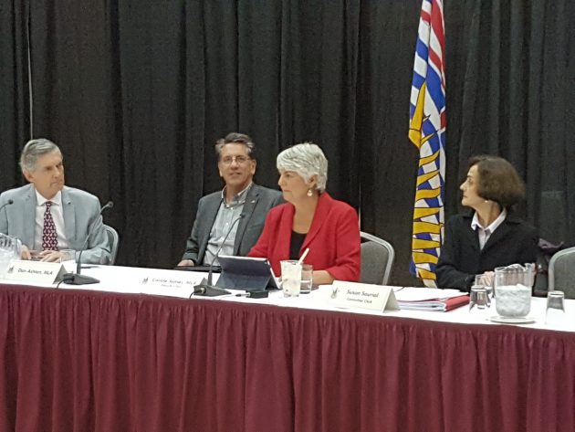 Deputy Chair Carole James ( in red) photo-250News